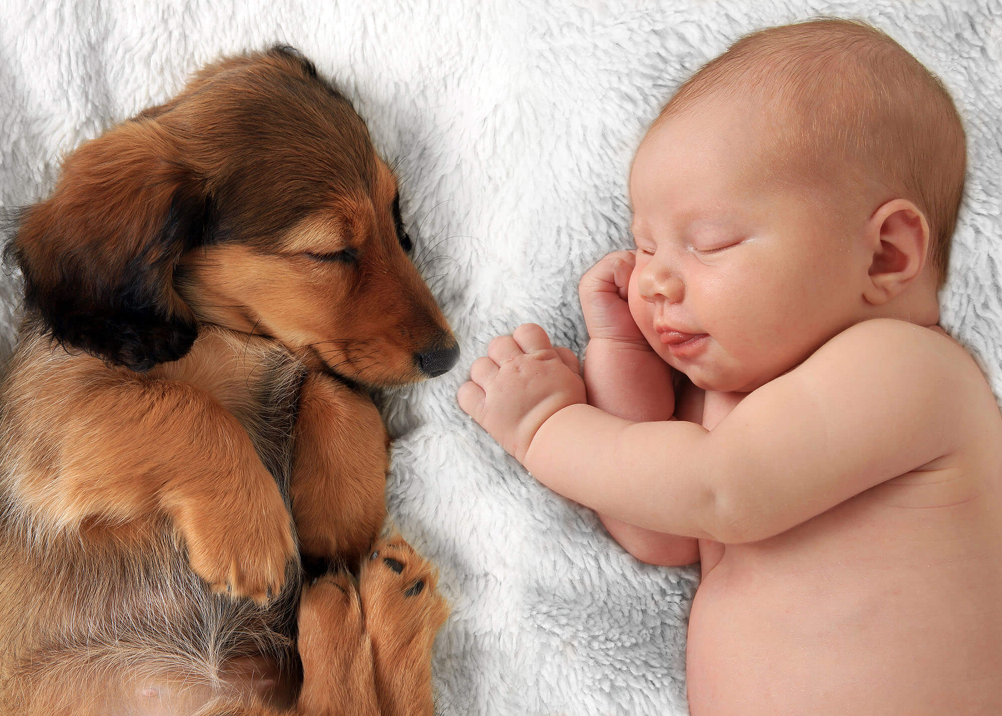 How to prepare your dog to meet your newborn