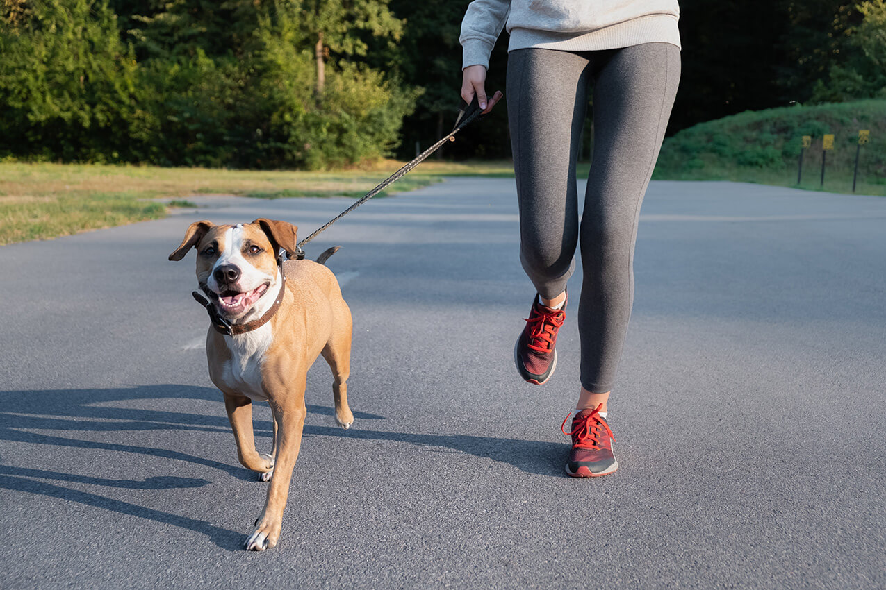 New Year’s Resolutions; get you and your dog on track in 2021